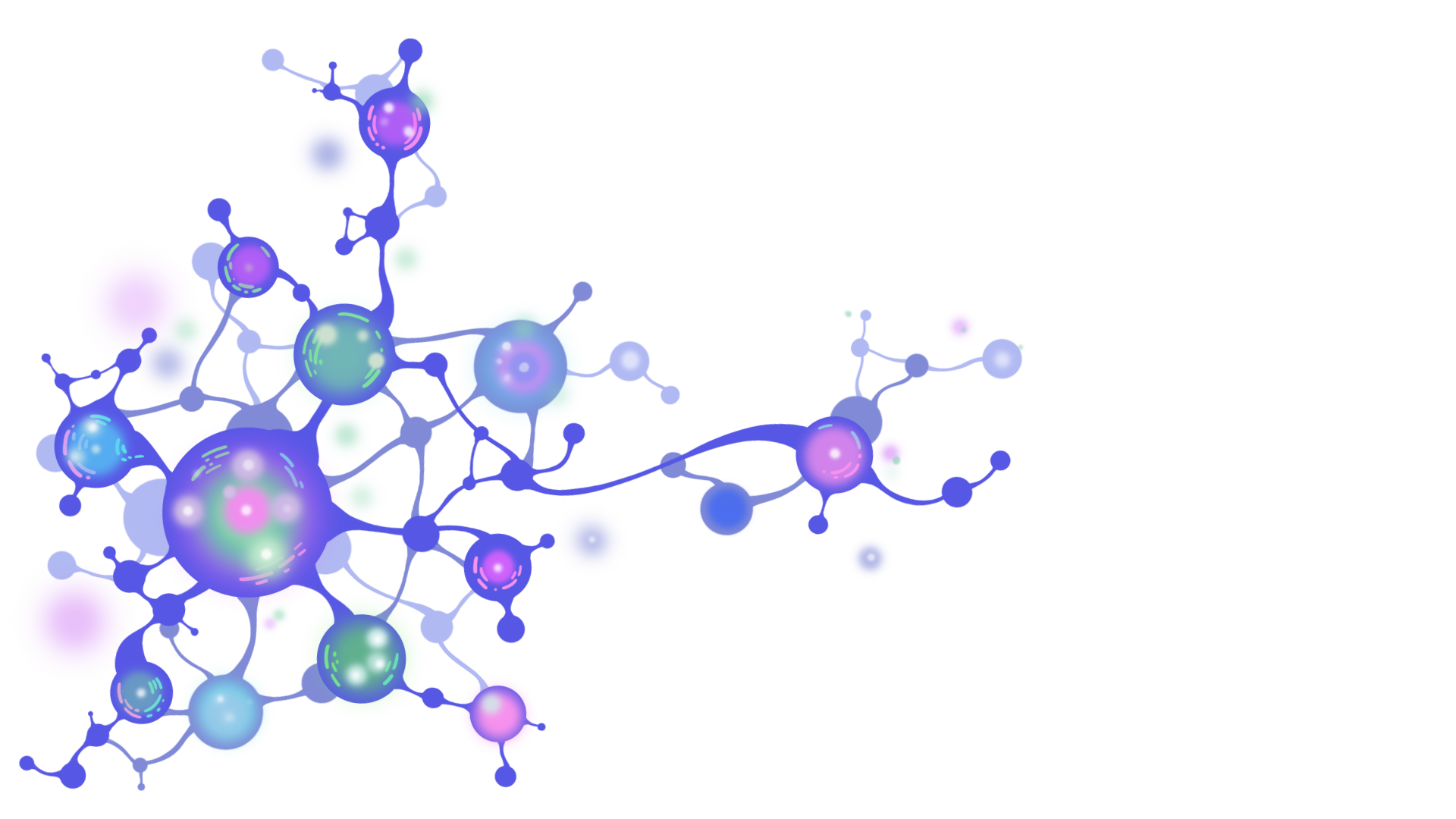 neurons